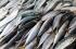 PAULA FISH - przedsiębiorstwo z branży przetwórstwa ryb - optymalizuje procesy i zwiększa efektywnoś