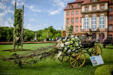 XXX Festiwal Kwiatów i Sztuki w zamku Książ, fot.: Dariusz Gdesz