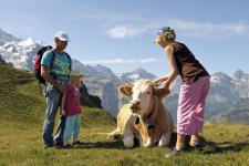 Szwajcaria: Rodzinne wakacje pełne przygód w Haslital i Jungfrau