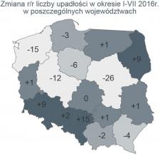 W lipcu wzrosła liczba upadłości firm w Polsce