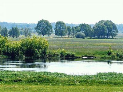 Biebrza - fot. www.zklimatem.pl (Wizna - Gospodarstwo Agroturystyczne)