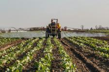 Rodzaje nawozów mineralnych: Klasyfikacja, Zastosowanie i Znaczenie w Rolnictwie