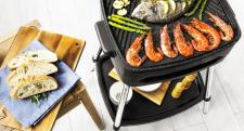 Premiera grilla marki Cecotec - PerfectCountry BBQ