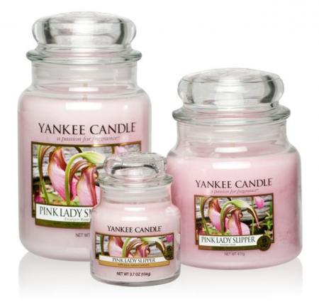 Yankee Candle Storczyk Zestaw