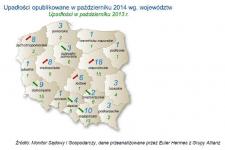 W Polsce bankrutuje coraz więcej firm zaopatrujących sektor budowlany