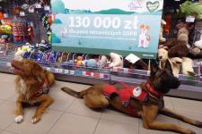 Klienci Maxi Zoo wsparli psy ratownicze GOPR kwotą 130 000 zł