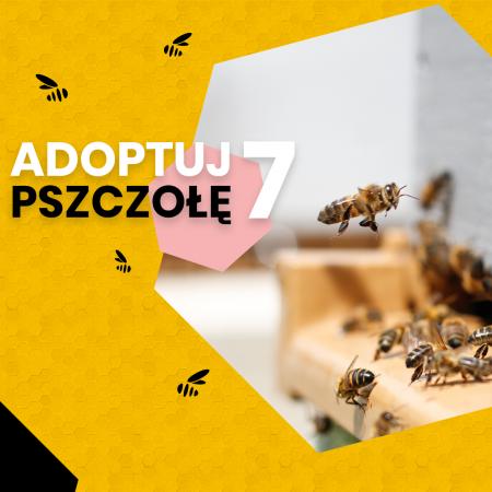 Adoptuj pszczołę
