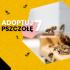 Społem i ReBrain wspierają kampanię Adoptuj Pszczołę 7 w Social Media