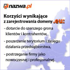 200 tys. domen .eu w Polsce!