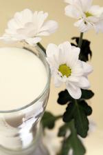Program „Doceń polskie”: wysoka jakość wyrobów mlecznych