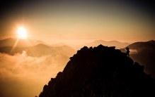 Tatry to miejsce występowania kozicy tatrzańskiej