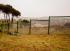 Specjalne ogrodzenie dla ochrony uczniów w RPA
