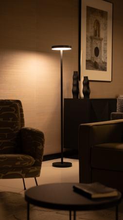 Lampy illu w salonach Bizzaro_materiały prasowe
