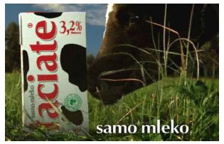 Kampania reklamowa mleka Łaciate