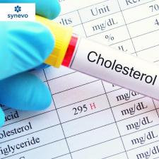 Cholesterol – czy szkodzi zdrowiu?