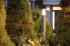 Dom i ogród otulone światłem - seria lamp OUTDOOR