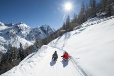 Dolina Stubai – saneczkarski raj w Tyrolu