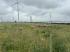 Wypas owiec na farmach fotowoltaicznych. Eurowind Energy współpracuje z lokalnymi hodowcami