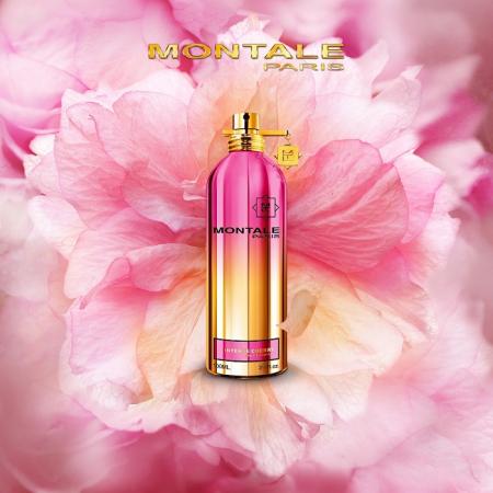 Montale So Iris Intense i Intense Cherry w ofercie Perfumerii Quality Missala