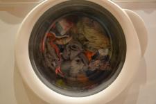Dlaczego trzeba dbać o czystość pralki?