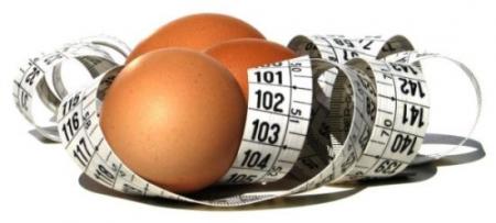 dieta białkowa - tempo utraty wagi