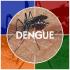 Denga - tropikalna gorączka rozpowszechniona w części Azji i Ameryki Południowej