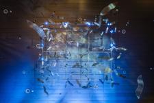 "Birds" Edyty Barańskiej poszybowały w DOMOTECE