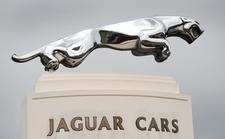 Jaguar w Wielkiej Brytanii za 2/3 ceny. Tylko ta kierownica