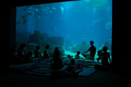 Oceanário de Lisboa