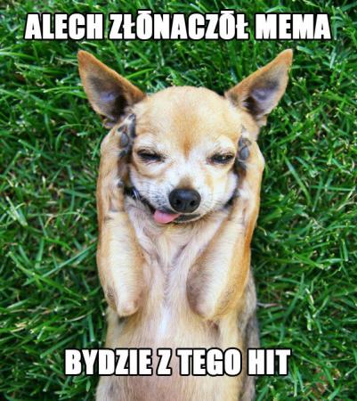 zdjecie