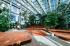 Wielkie otwarcie: Tropikalny ogród w sercu trójmiejskiego biznesu