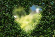 Symbolika serca - co oznacza serce?