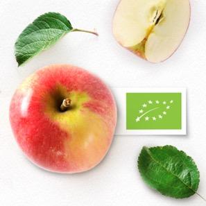 zielony listek żywności ekologicznej