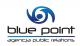 logo: Agencja Blue Point PR