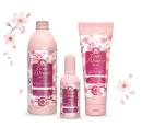 Tesori d’Oriente  z nową linią produktów do pielęgnacji ciała – IKIGAI
