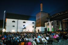 SM Ryki na Letniej Akademii Filmowej i Winobraniu – dwa festiwale, jeden smak regionu