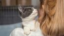 Weekend Adopcji Mars i TOZ – adopcja zwierzaka może zmienić dwa życia