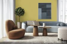 Salon w designerskim kolorze