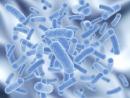 DuPont Nutrition & Health: mikrobiom jamy nosowej pełni istotną rolę w reakcji organizmu na infekcję