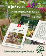E-book DYI: taras, który przetrwa upały i pomoże zapylaczom