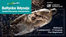 Śmieciowe „skarby Bałtyku” na wystawie w Wałbrzychu