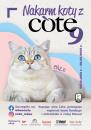 Pomaganie jest piękne!  Dołącz do akcji „Nakarm koty z COTE!” i dziel się dobrem
