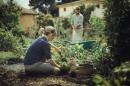 5 kluczowych narzędzi w każdym ogrodzie – inspiracje Fiskars