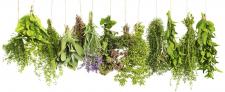 Czy warto stosować ekstrakty roślinne?