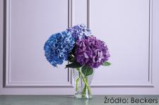 Artystyczne wnętrza w aurze fioletu