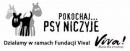 Złe Psy dla psów niczyich