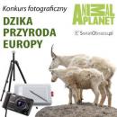 Dzika przyroda Europy – konkurs fotograficzny