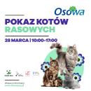 Mrucząca sobota w CH Osowa - Pokaz Kotów Rasowych i Targi dla Pupili