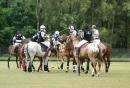 Whisky Dewar’s w Warsaw Polo Club