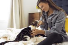 Dzień Kota: 5 faktów o kotach, które mogą cię zaskoczyć